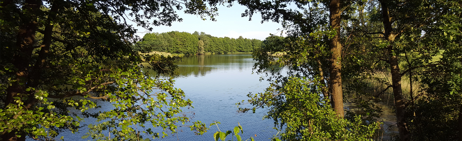 Campingplatz Reihersee  Wohnmobile